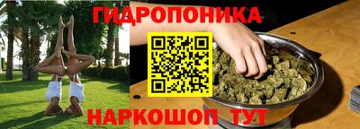 стафф Можга