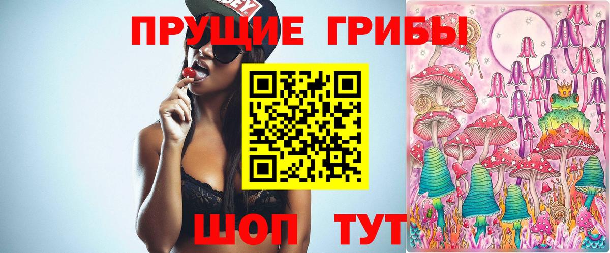 Галлюциногенные грибы ЛСД  Вход с VPN  Сунжа 