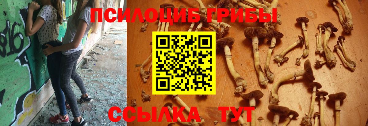 Галлюциногенные грибы GOLDEN TEACHER Сунжа